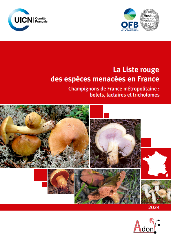 champignons_france