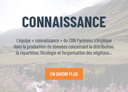 bouton_connaissance