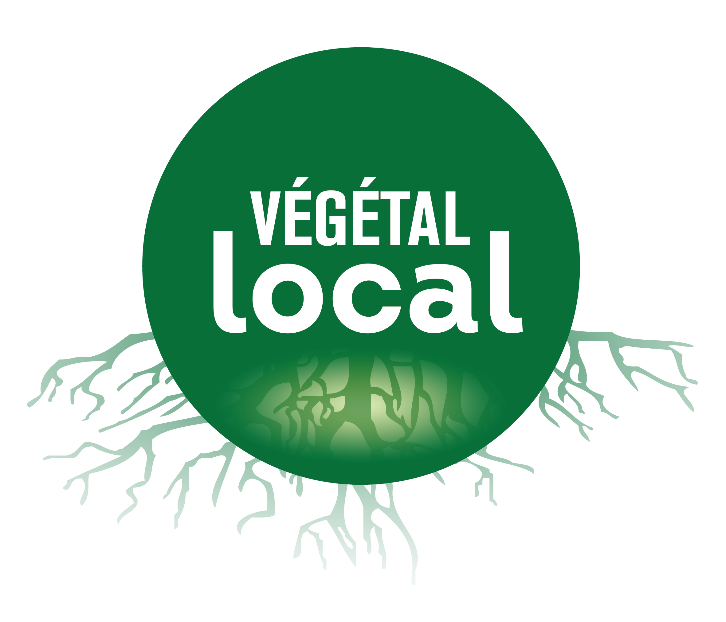 Logo_VL
