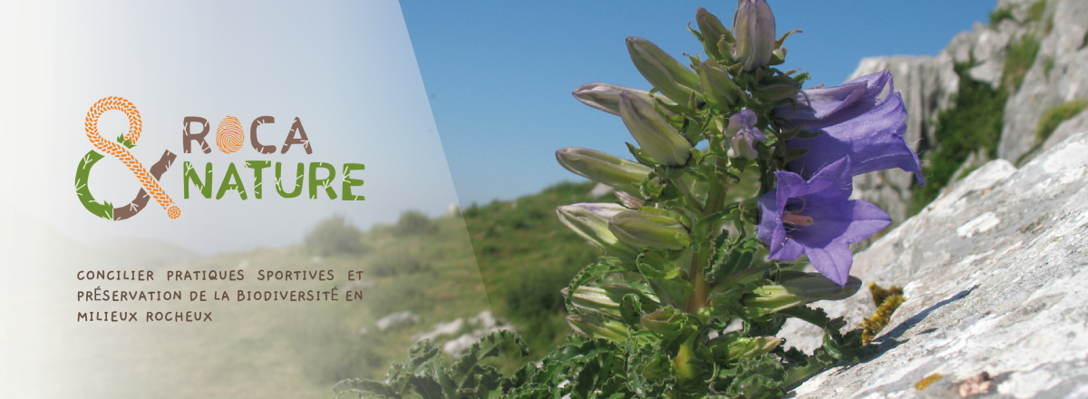 bandeau_rocanature