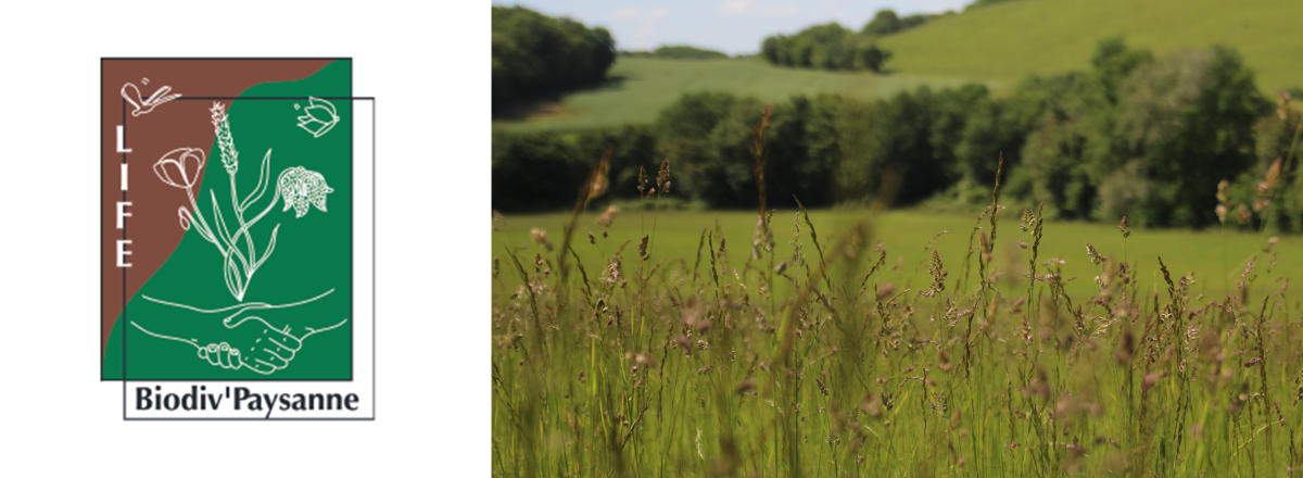 LIFE_biodiv