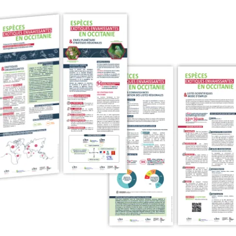 Exposition EEE Occitanie