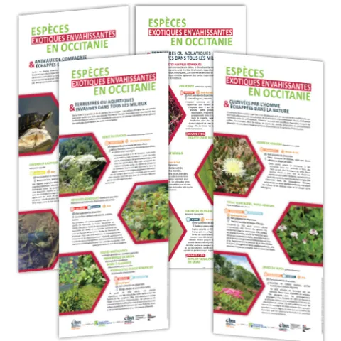 Exposition EEE Occitanie