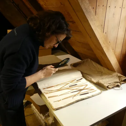 Crédit photo CBNPMP – Christelle Pineau