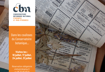 Visites