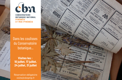 Visites
