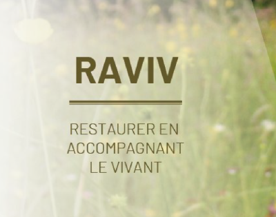 Raviv